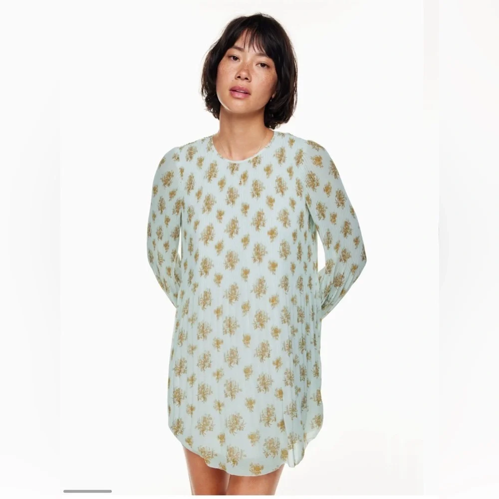 Wilfred Aritzia Women's Floral Pleated Mini Dress Sheer A-Line Puffed Sleeve